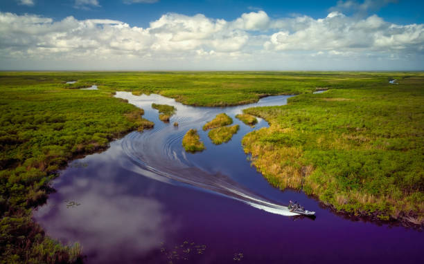 Exploring the Everglades: The Thrill of Airboats this Unique Ecosystem