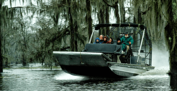 Exploring the Everglades: The Thrill of Airboats this Unique Ecosystem